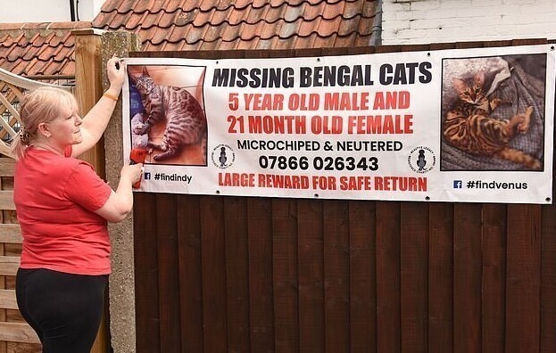 The teacher quit her job to search for missing animals 3